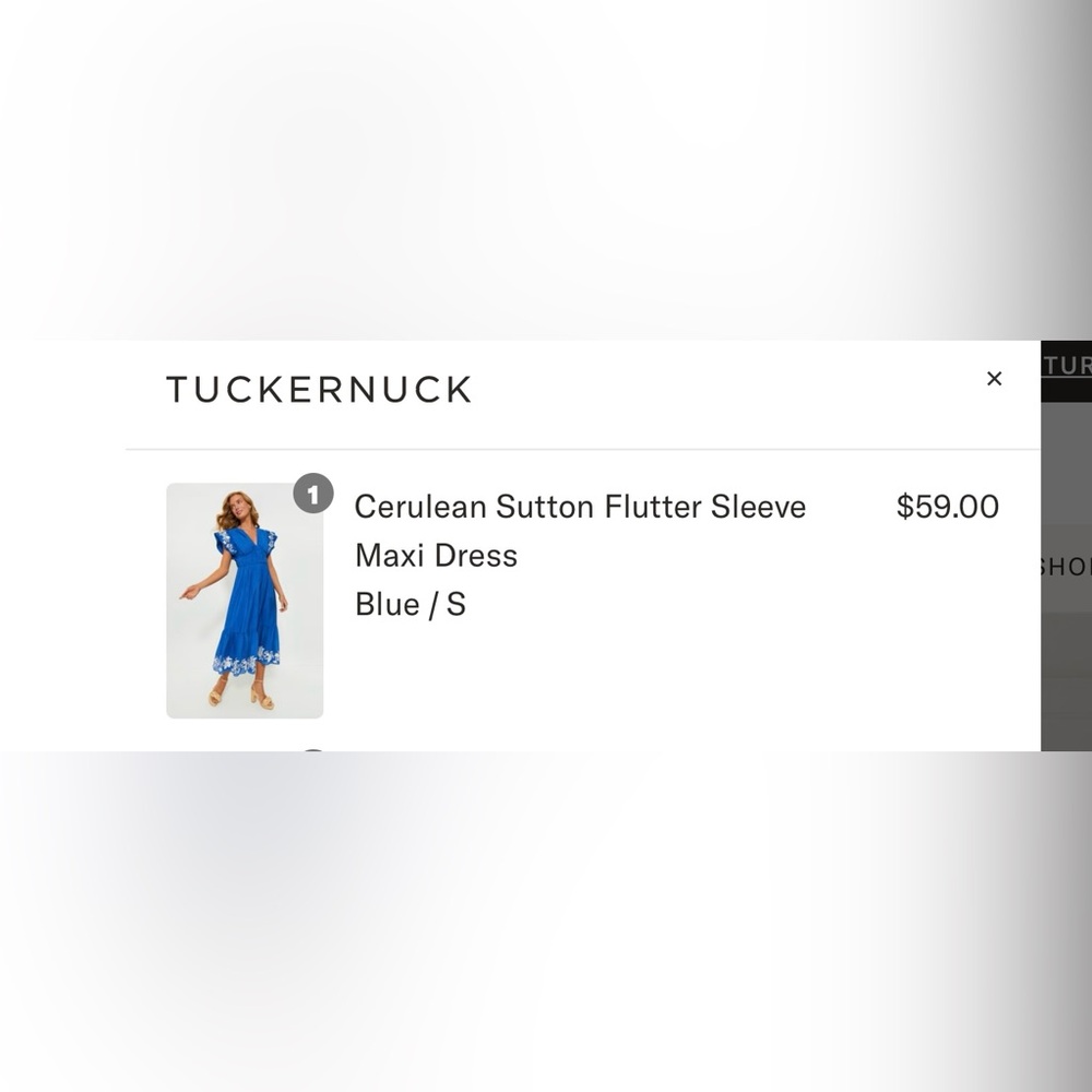 Tuckernuck Blue Dress with White Floral Accents - Picture 3 of 4